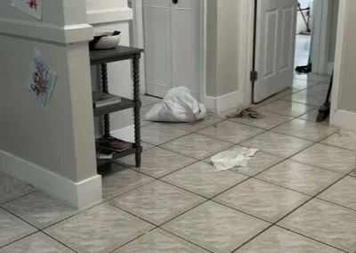 Home Cleaning Services (12)